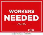 need male / female worker