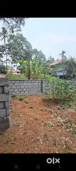 ANGAMALY യൂദാപുരം പള്ളിക്ക് സമീപം 8 സെൻ്റ് വിൽപ്പനക്ക്