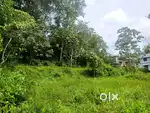 Our property for sale
