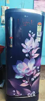 Lg 5 star fridge 224 litre , 10 years compressor warrenty