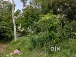 100 Mts From Kundamankadavu Main Road 6 Cent Pet Cent 9 Lakhs