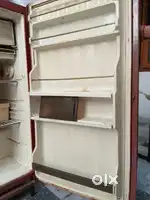 Fridge medium size