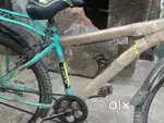 Hox cycle new