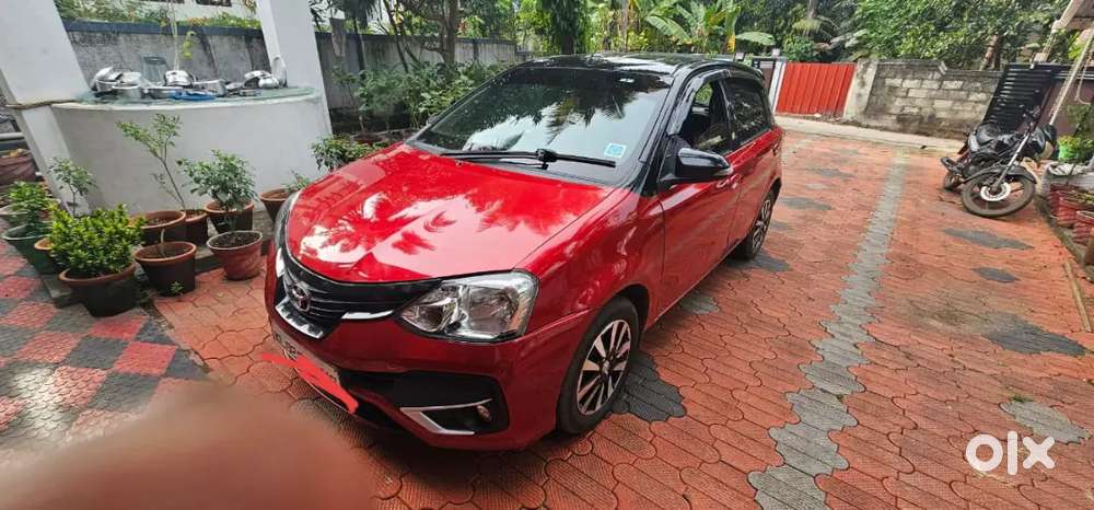 LIVA V DUAL TONE
