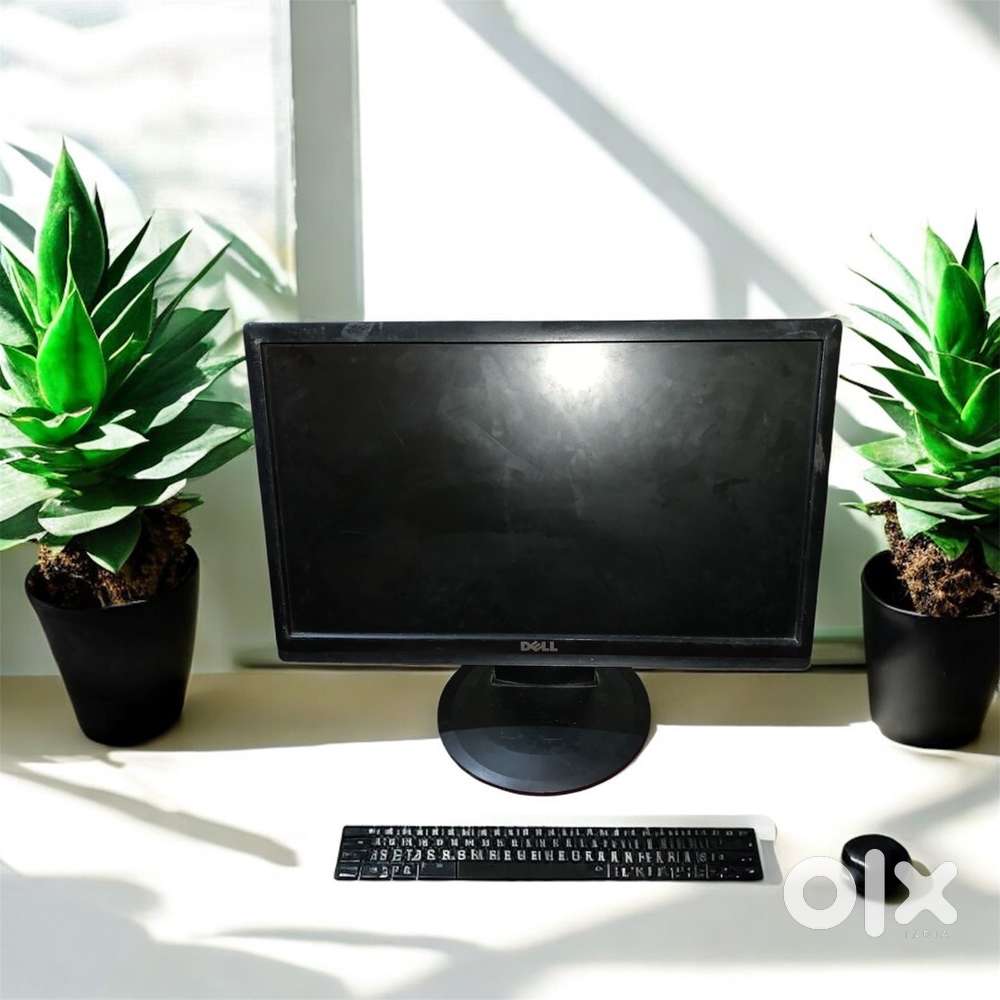 DELL Monitor