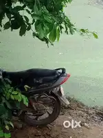 Good looking