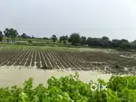 We provide you with good and genuine plots in patna nd it's near areas