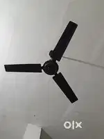 ceiling fan