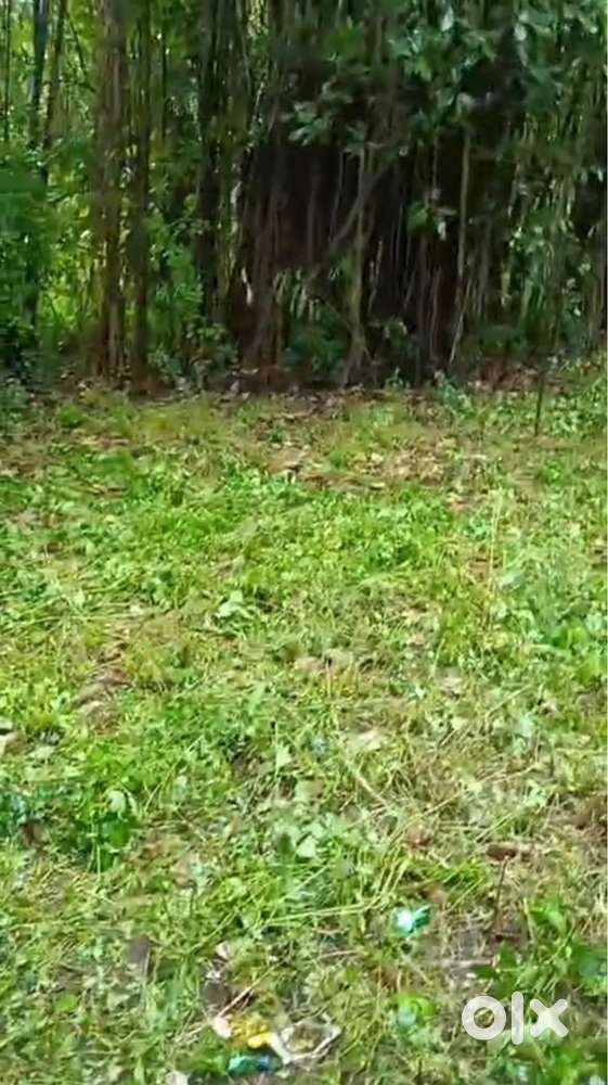 Small plot with old house near Mandwa