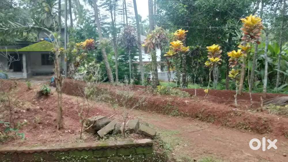 Plot with house for sale at balussery