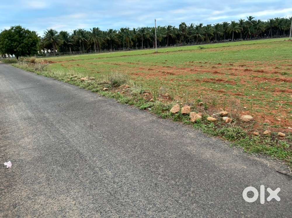 50 cent agricultural land sale