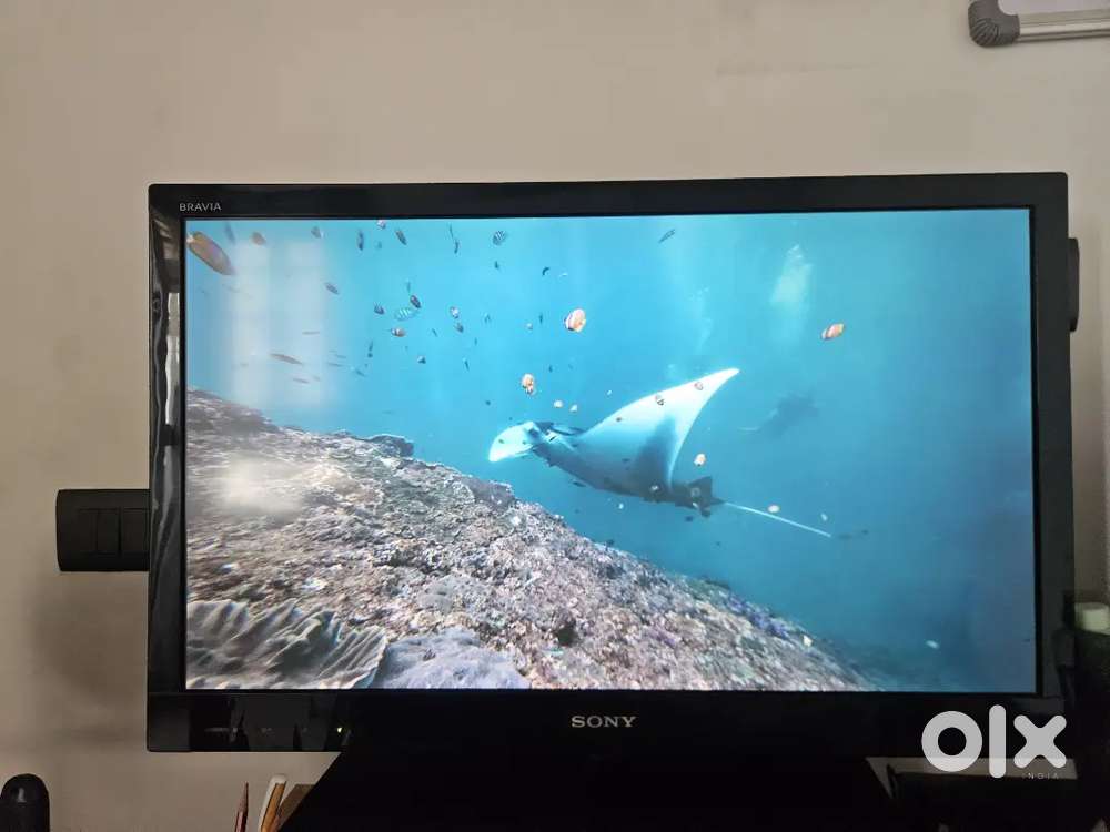 Sony Bravia TV/Monitor 32 Inch