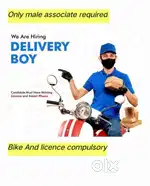 Wanted Delivery Boy - Pardi
