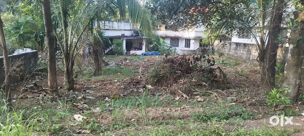 7.750 cent house plot for sale near pukkattupady malayidumthuruth busr