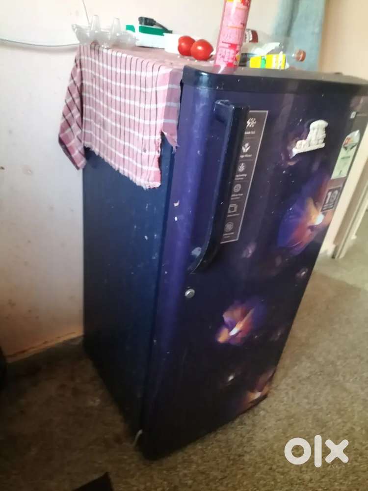 Fully functional fridge