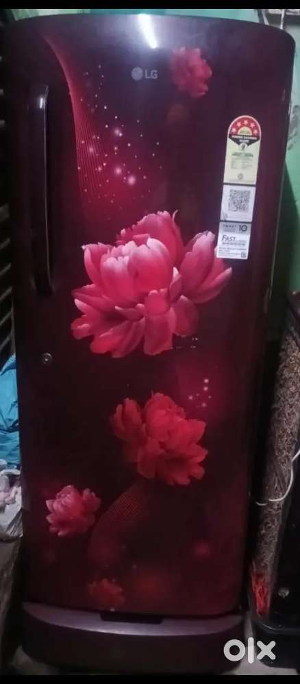 OLG 240 liter firiz new candisan