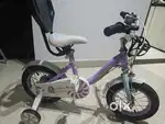 Chipmunk bicycle