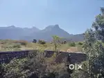 315 Acres agri farm 28 kilometres from Udumalai near kutharayaru dam