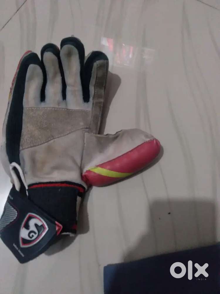 Cricket gloves