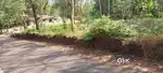 NEAR APOLLO HOSPITAL ANGAMALY KARUKUTTY 10 CENT LAND