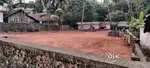 11 cents kodikal land