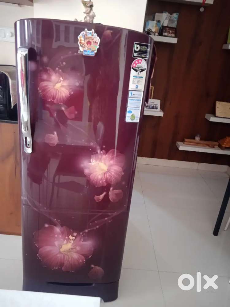 Samsung's Fridge