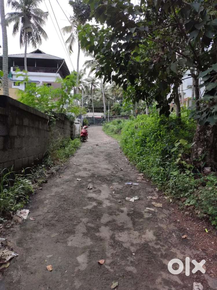 3.90 cent lorry Plot near kariyam sreekariyam