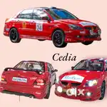 Cedia body kits add on kit