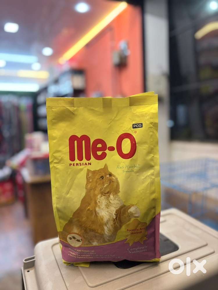 Meo persian