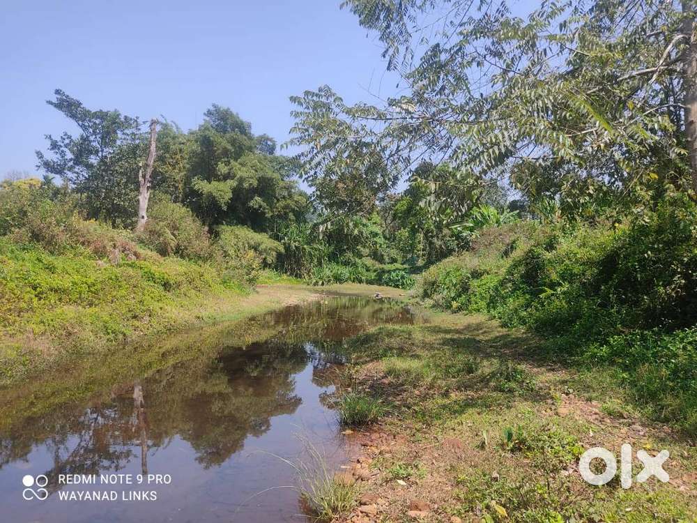 House For Sale In Vythiri Wayanad