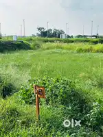 320 gaj residential plot, MK Technolgy Park