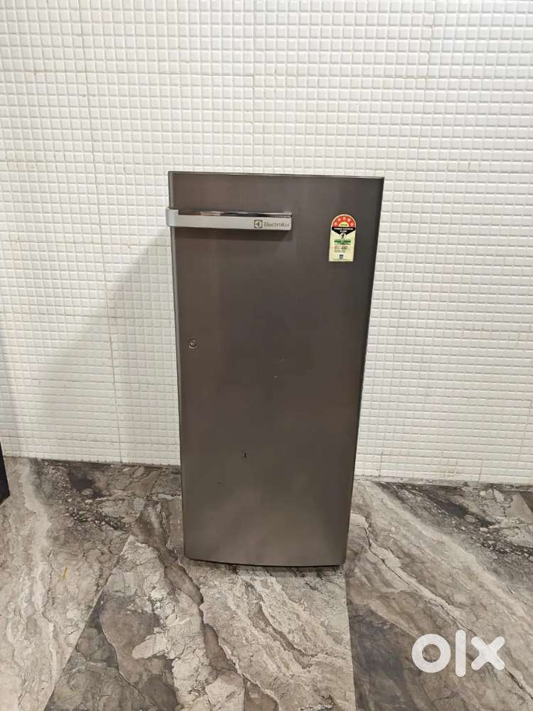 Electrolux Singel Door Freeg