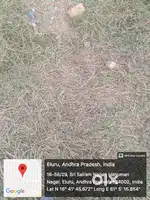 We have to plots one 244, two 235 sq. Yards. Price ₹20000