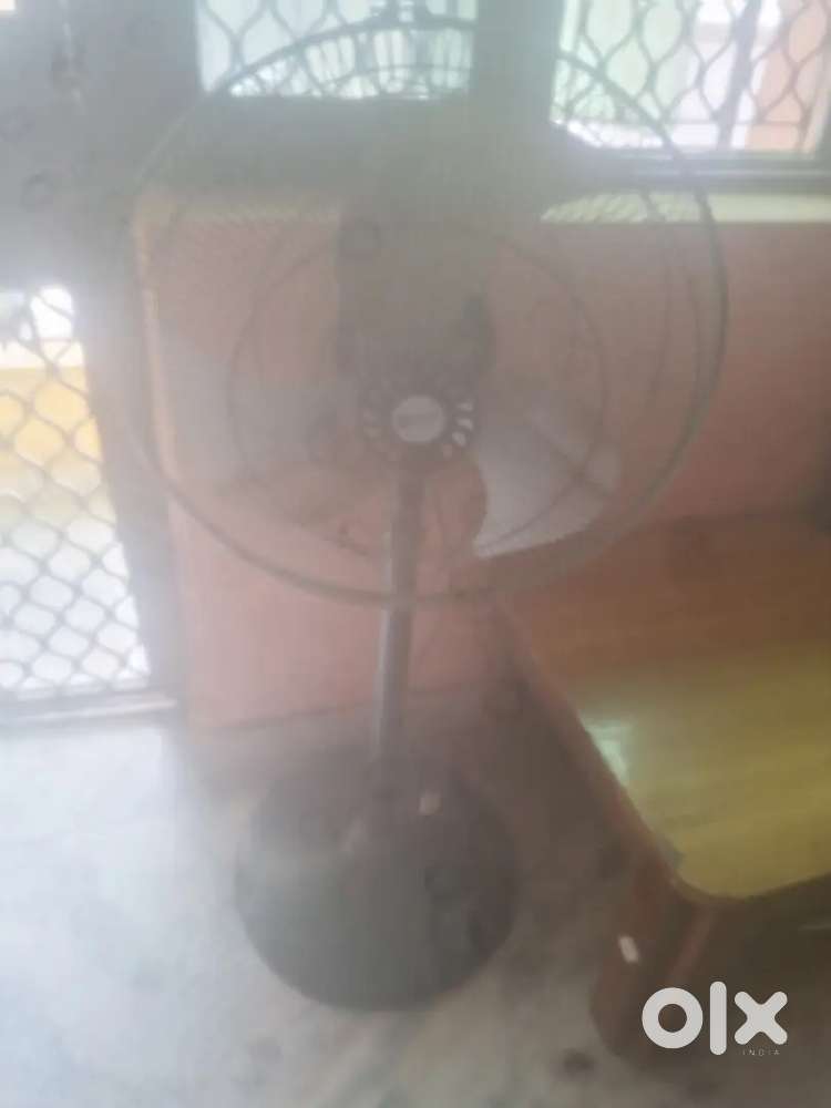 Oriental fan with stand