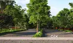 30x40 sites at Total Environment- Tangled Up In Green