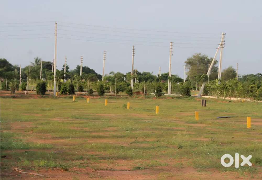 Approved Residential Plots for Immediate Sale