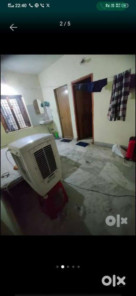 2 bachelor boys required