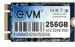 EVM 256GB M.2 SATA Internal SSD