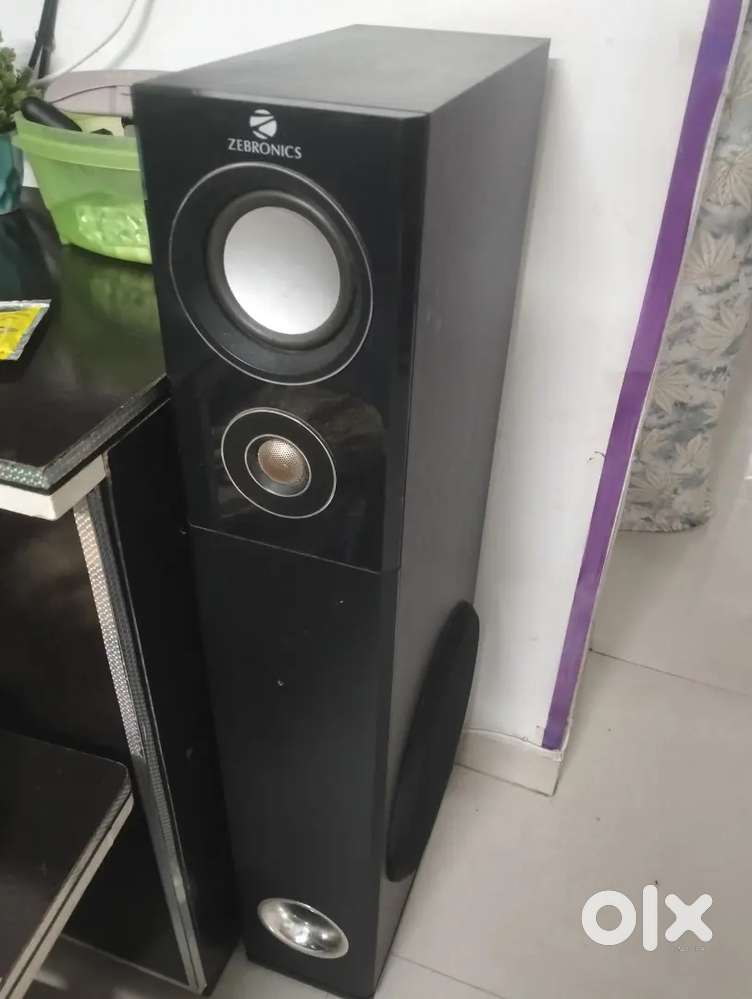 Tower speaker Zebronics