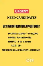 BEST WORK FROM HOME OPPORTUNITY