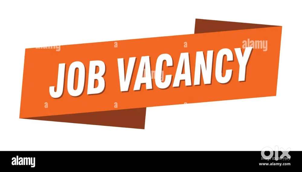 JOB OPPORTUNITY