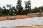 3,4,5,6,7, 10 cent house plot near kizhakkabalam vengola  busroot