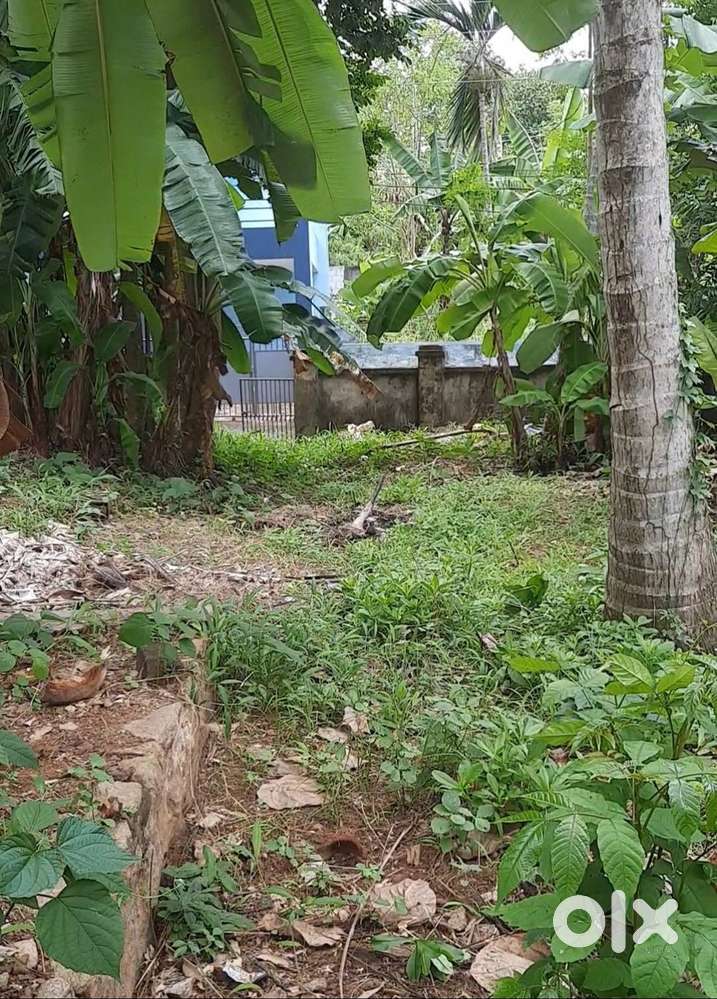 6.4 cents TVM plot; 2 mins from Rajiv Gandhi Centre for Biotechnology