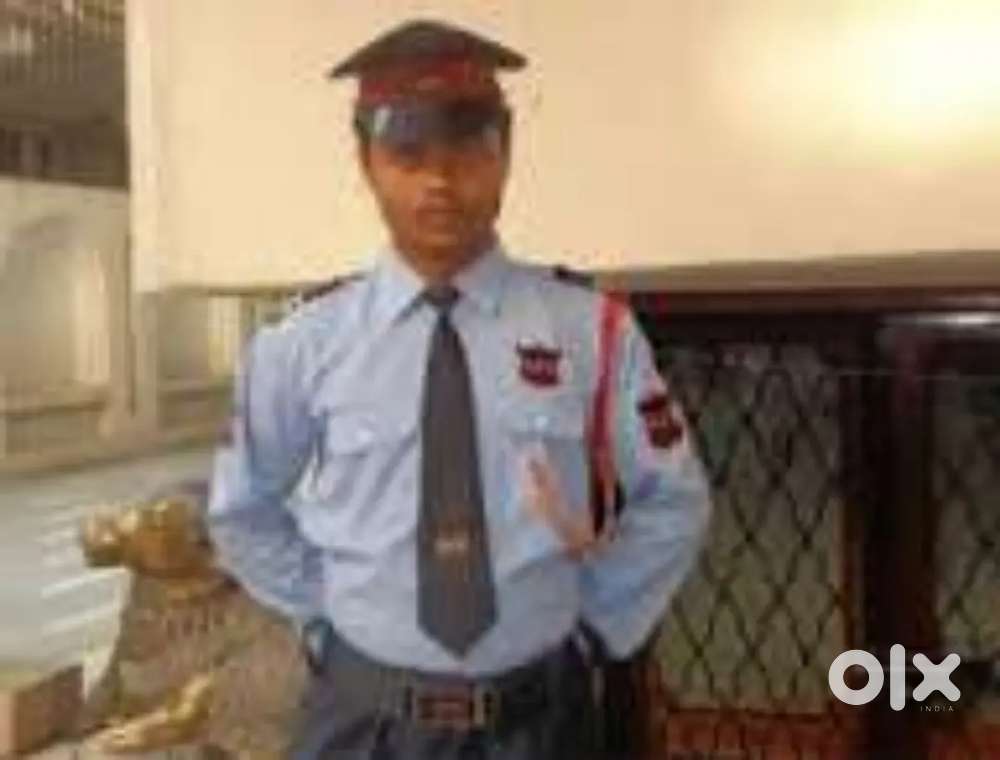 Axwinli mall security guard job