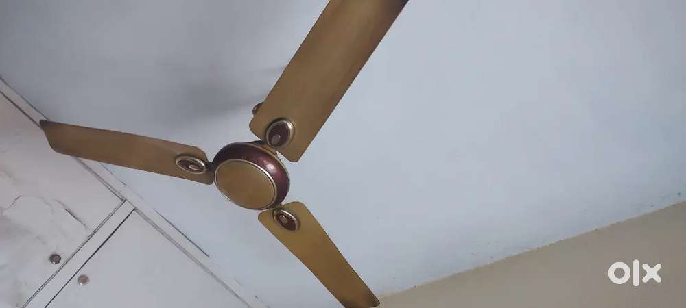 4 Ceiling Fans