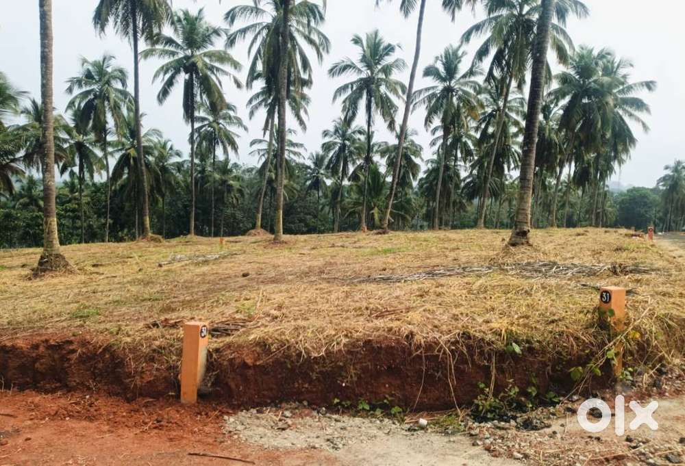8 cent villa plot for sale in Mannarkkad