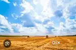 9.50 cents land sale in Udupi indrali railway station for 7.50L pcents