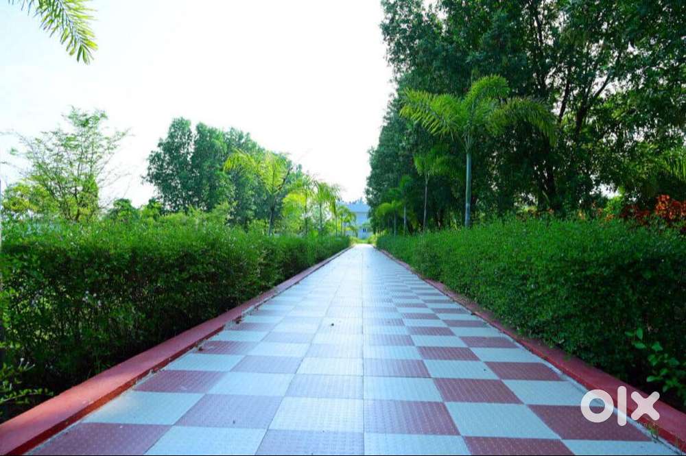 Ready-to-Build Residential Plots at Rajula Tallavalasa