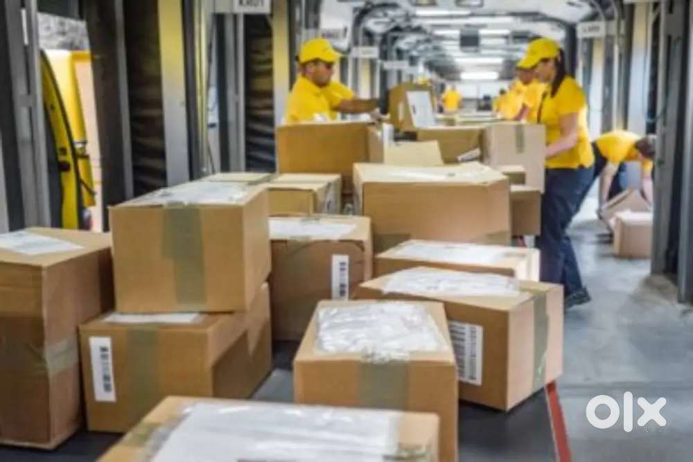 WANTED PACKING HELPERS WITH FOOD AND ACCOMMODATION