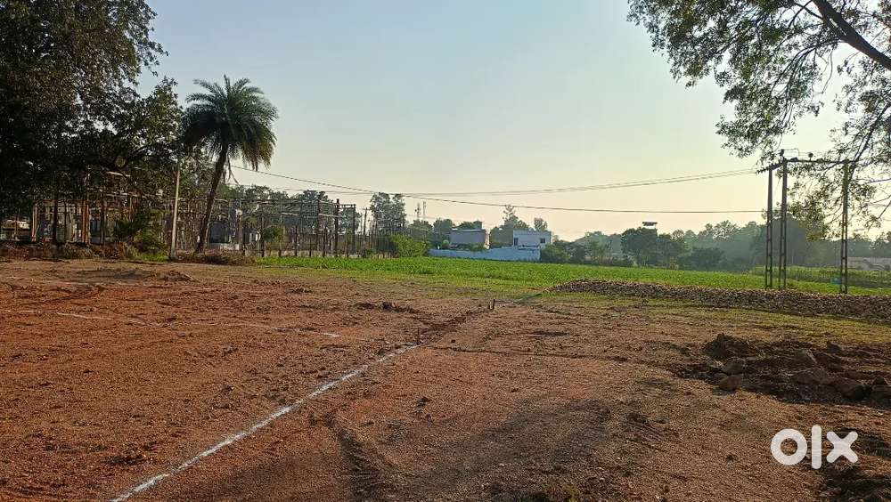 Plot bechna hai 250 rs sf me